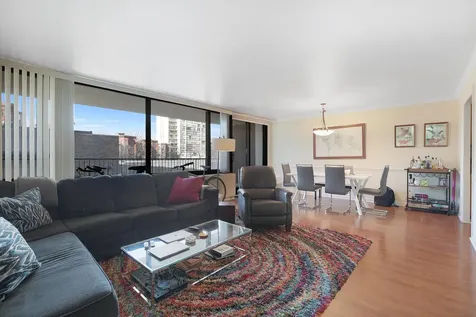 1555 North Sandburg Terrace Chicago IL 60610