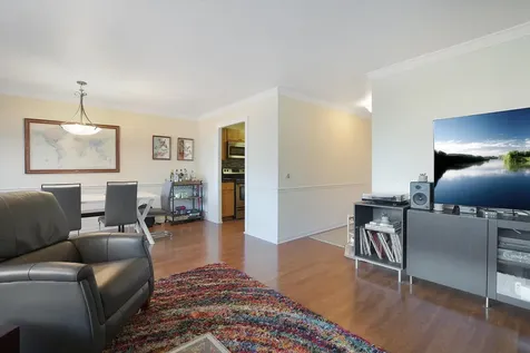 1555 North Sandburg Terrace Chicago IL 60610