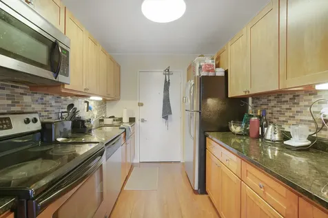 1555 North Sandburg Terrace Chicago IL 60610