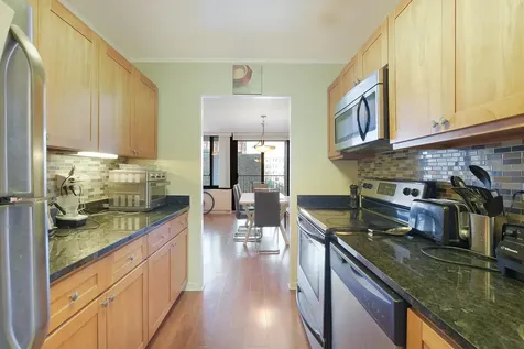 1555 North Sandburg Terrace Chicago IL 60610