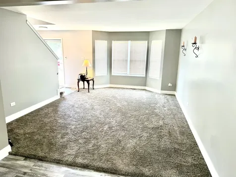 732 Oakwood Street Minooka IL 60447