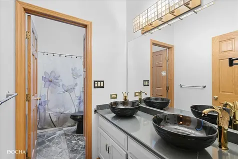 365 East Pine Meadow Court Morris IL 60450