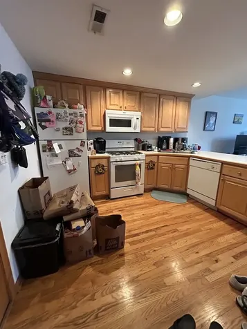 867 West Buckingham Place Chicago IL 60657