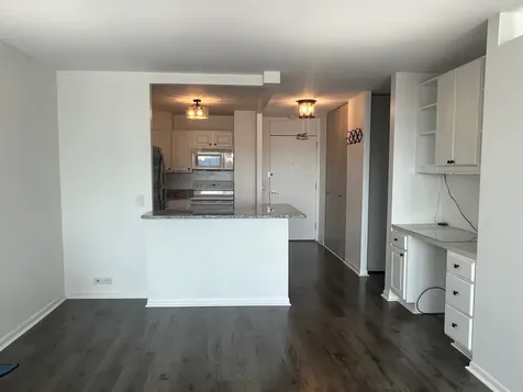 1560 North Sandburg Terrace Chicago IL 60610