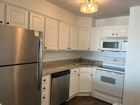 1560 North Sandburg Terrace Chicago IL 60610