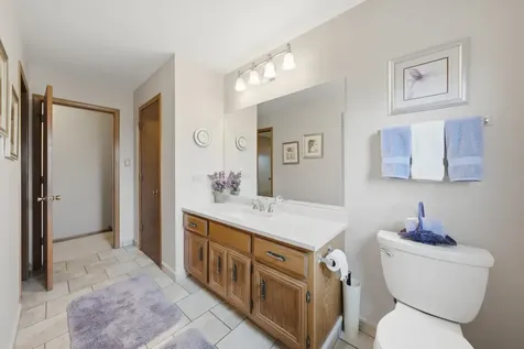 17019 Bedford Lane Tinley Park IL 60477