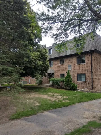 102 Steeple Drive Buffalo Grove IL 60089