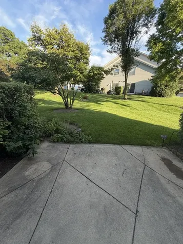 371 Wisteria Drive Streamwood IL 60107