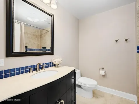 1401 Burr Oak Road Hinsdale IL 60521