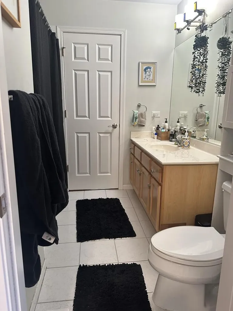 3818 South Paulina Street Chicago IL 60609