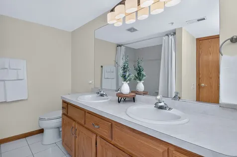 16040 Boardwalk Lane Orland Park IL 60467