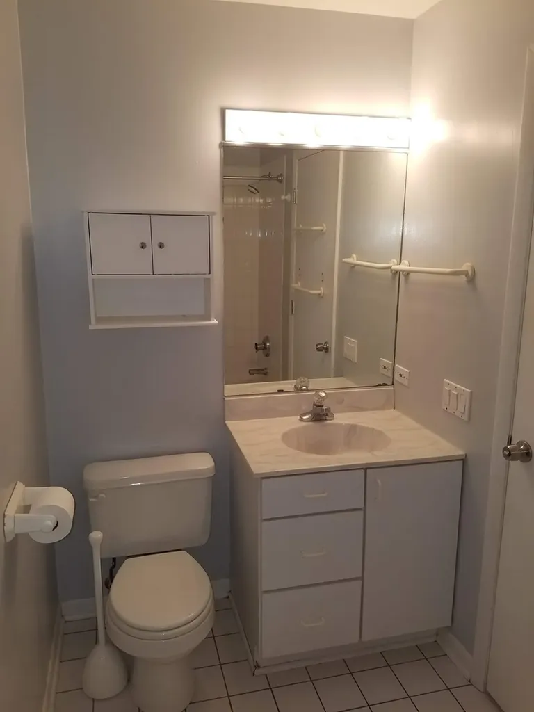 1507 West George Street Chicago IL 60657