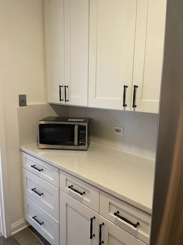 3930 North Pine Grove Avenue Chicago IL 60613