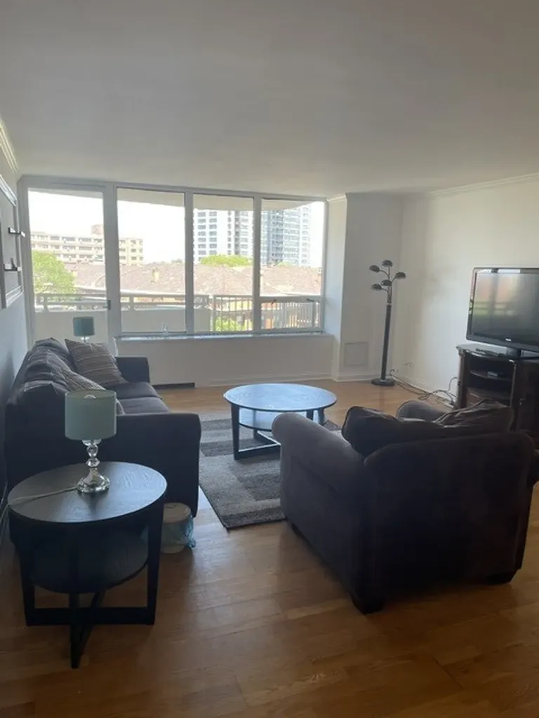 3930 North Pine Grove Avenue Chicago IL 60613