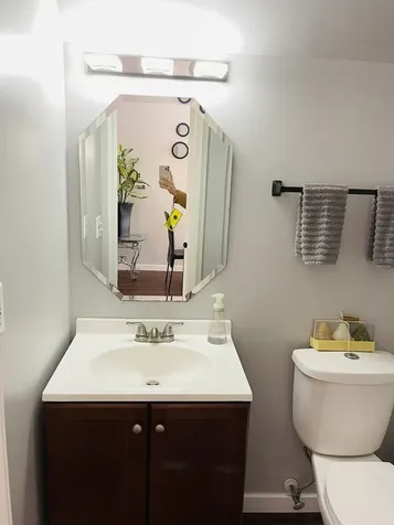 1385 Redbridge Court Grayslake IL 60030