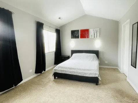 1385 Redbridge Court Grayslake IL 60030