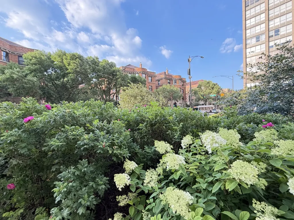3930 North Pine Grove Avenue Chicago IL 60613