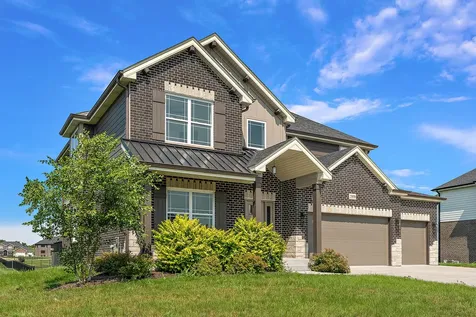 23070 Hankins Court Frankfort IL 60423