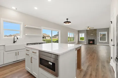 23070 Hankins Court Frankfort IL 60423