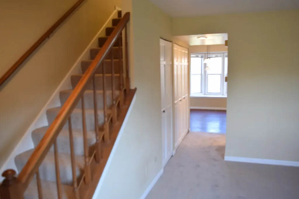 1256 Robin Drive Carol Stream IL 60188