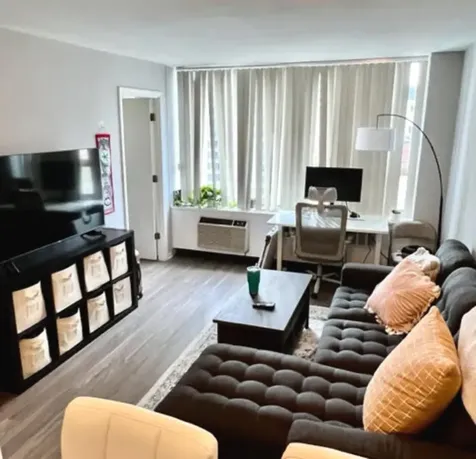 1460 North Sandburg Terrace Chicago IL 60610
