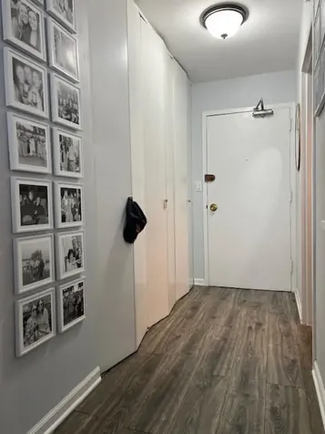 1460 North Sandburg Terrace Chicago IL 60610
