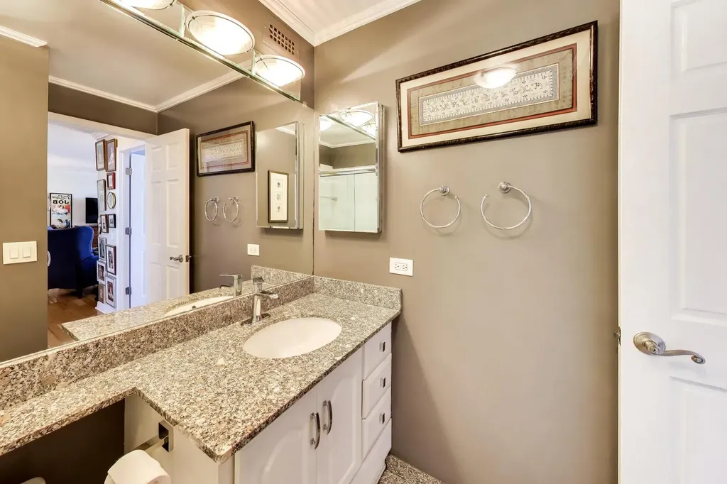 1560 North Sandburg Terrace Chicago IL 60610