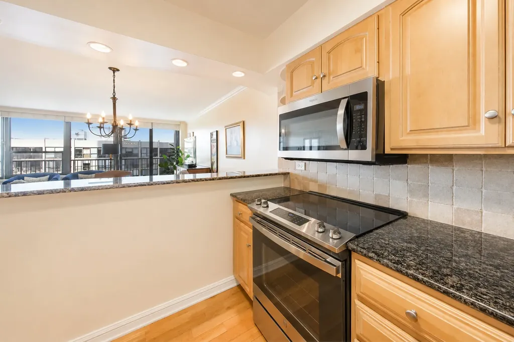 1560 North Sandburg Terrace Chicago IL 60610