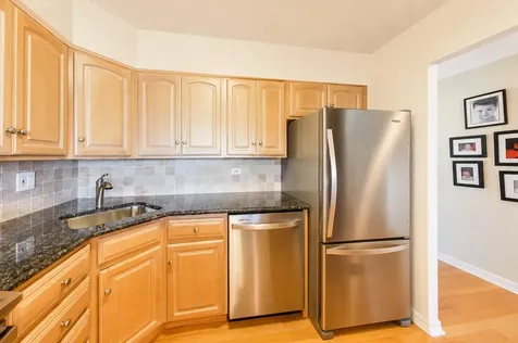 1560 North Sandburg Terrace Chicago IL 60610