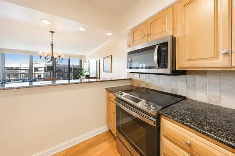 1560 North Sandburg Terrace Chicago IL 60610