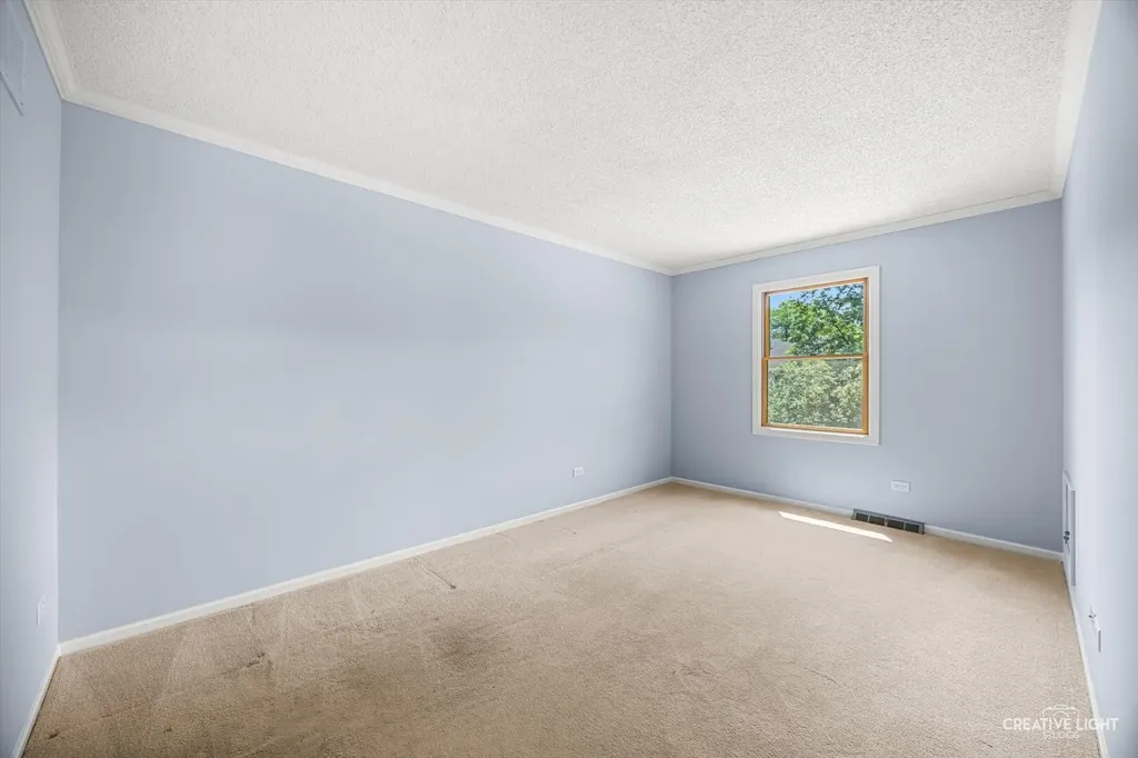 1014 Whirlaway Avenue Naperville IL 60540