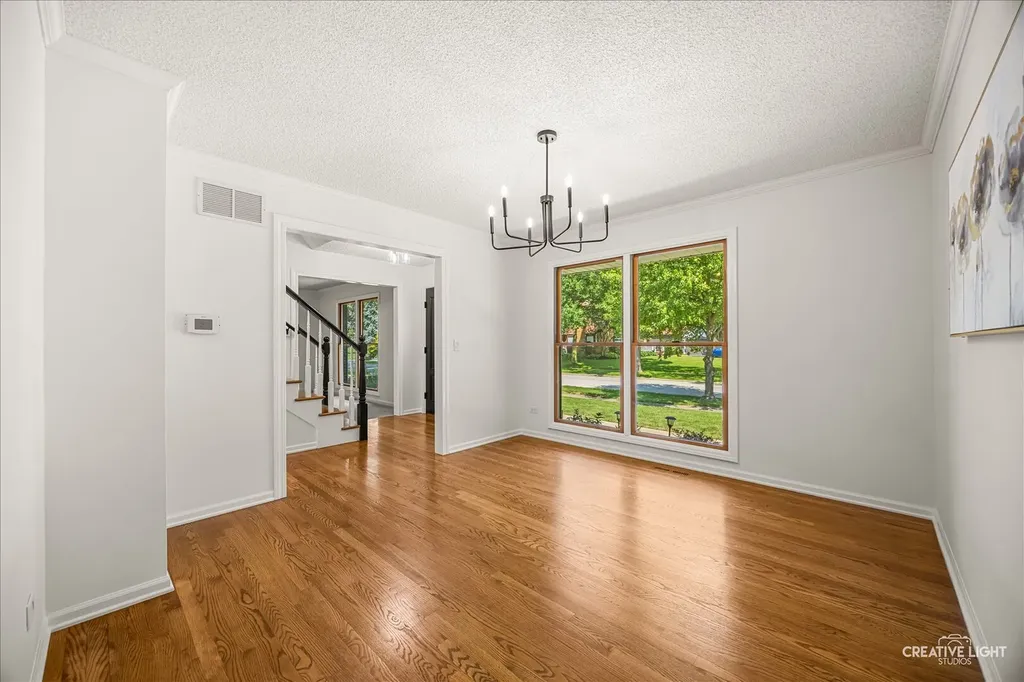 1014 Whirlaway Avenue Naperville IL 60540