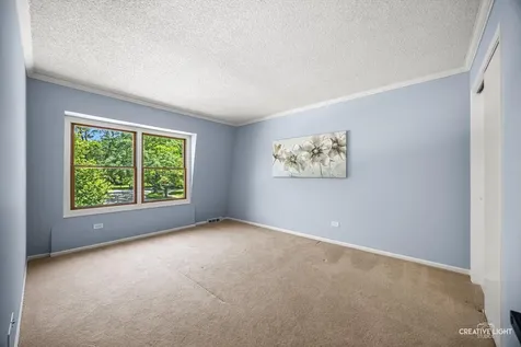 1014 Whirlaway Avenue Naperville IL 60540