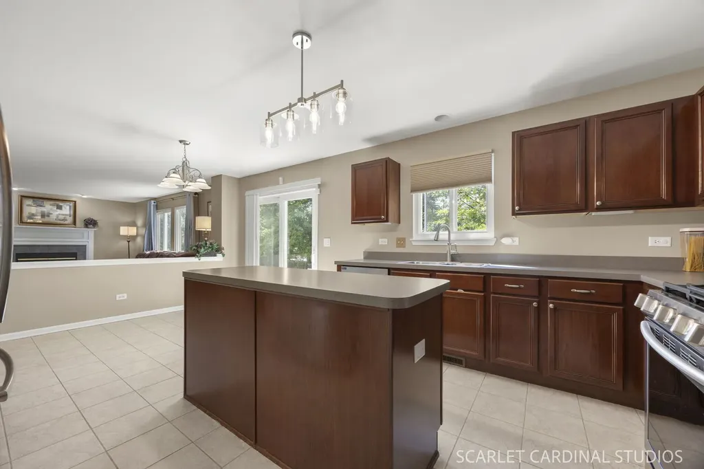 169 North Orchard Drive Bolingbrook IL 60440