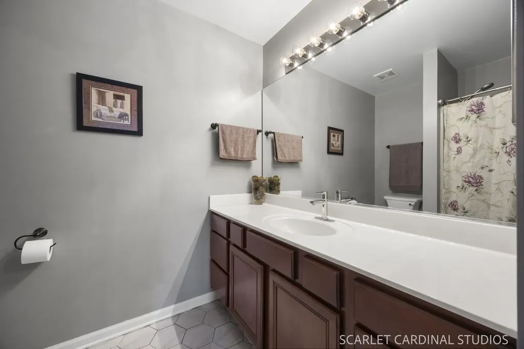 169 North Orchard Drive Bolingbrook IL 60440