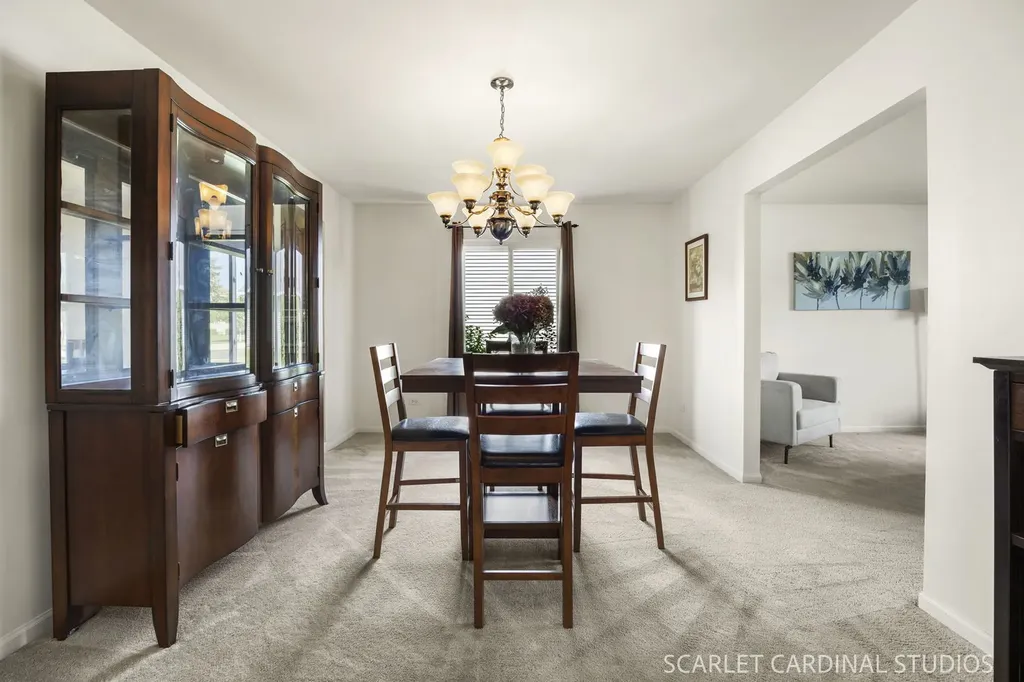 169 North Orchard Drive Bolingbrook IL 60440