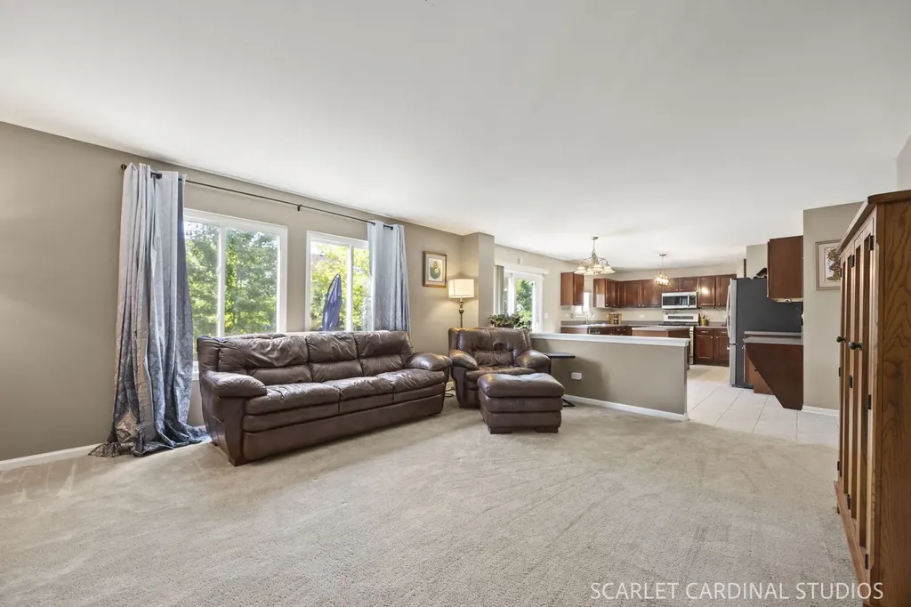 169 North Orchard Drive Bolingbrook IL 60440