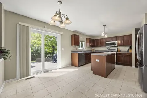169 North Orchard Drive Bolingbrook IL 60440