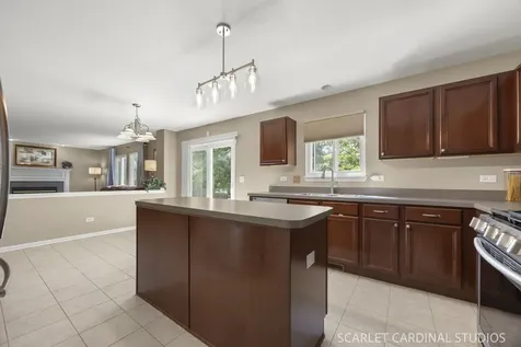 169 North Orchard Drive Bolingbrook IL 60440