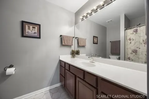 169 North Orchard Drive Bolingbrook IL 60440