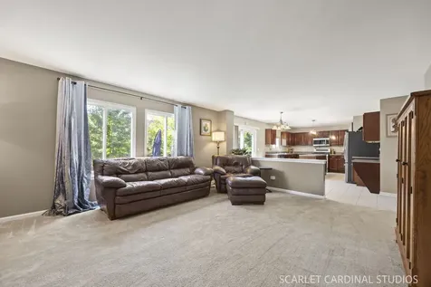 169 North Orchard Drive Bolingbrook IL 60440