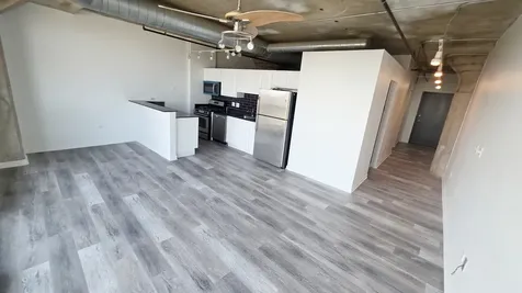 1550 South Blue Island Avenue Chicago IL 60608