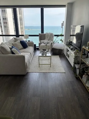 900 North Lake Shore Drive Chicago IL 60611