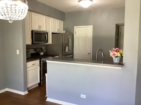 703 Baxter Court Lake Villa IL 60046