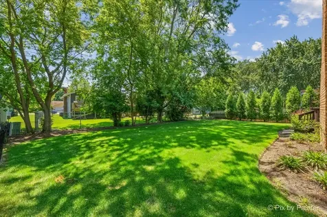 725 North Vista Drive Algonquin IL 60102