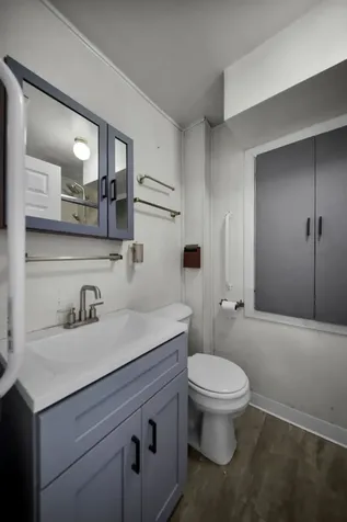 1828 South Trumbull Avenue Chicago IL 60623
