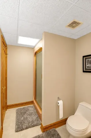 41w087 Highwood Court Campton Hills IL 60119