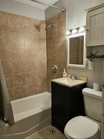 1849 West 17th Street Chicago IL 60608