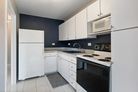88 West Schiller Street Chicago IL 60610