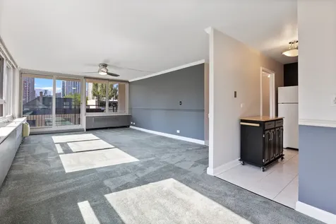 88 West Schiller Street Chicago IL 60610